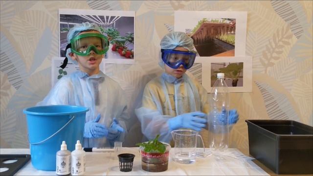 сити-фермерство - мастерята смотреть онлайн