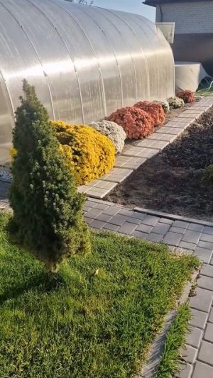 8 октября 2025 г.