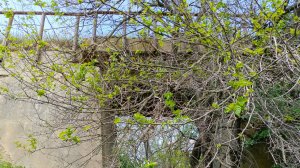 Заброшенная Туапсинская железная дорога мост на участке между Веселовским и Николаевском мостами.