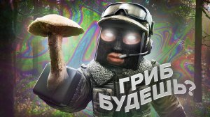 СОБЫТИЕ ГРИБНАЯ ЖАТВА STALCRAFT:X | ГДЕ ФАРМИТЬ ГРИБЫ И КУДА ТРАТИТЬ