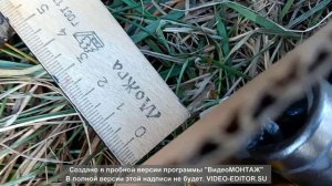 установка зажига 3.5 милиметра иж планета 3 бсж регулировка