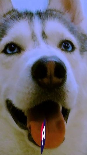 Поздравление RUTUBE