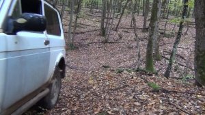 Осенняя зарисовка, нива в лесу.