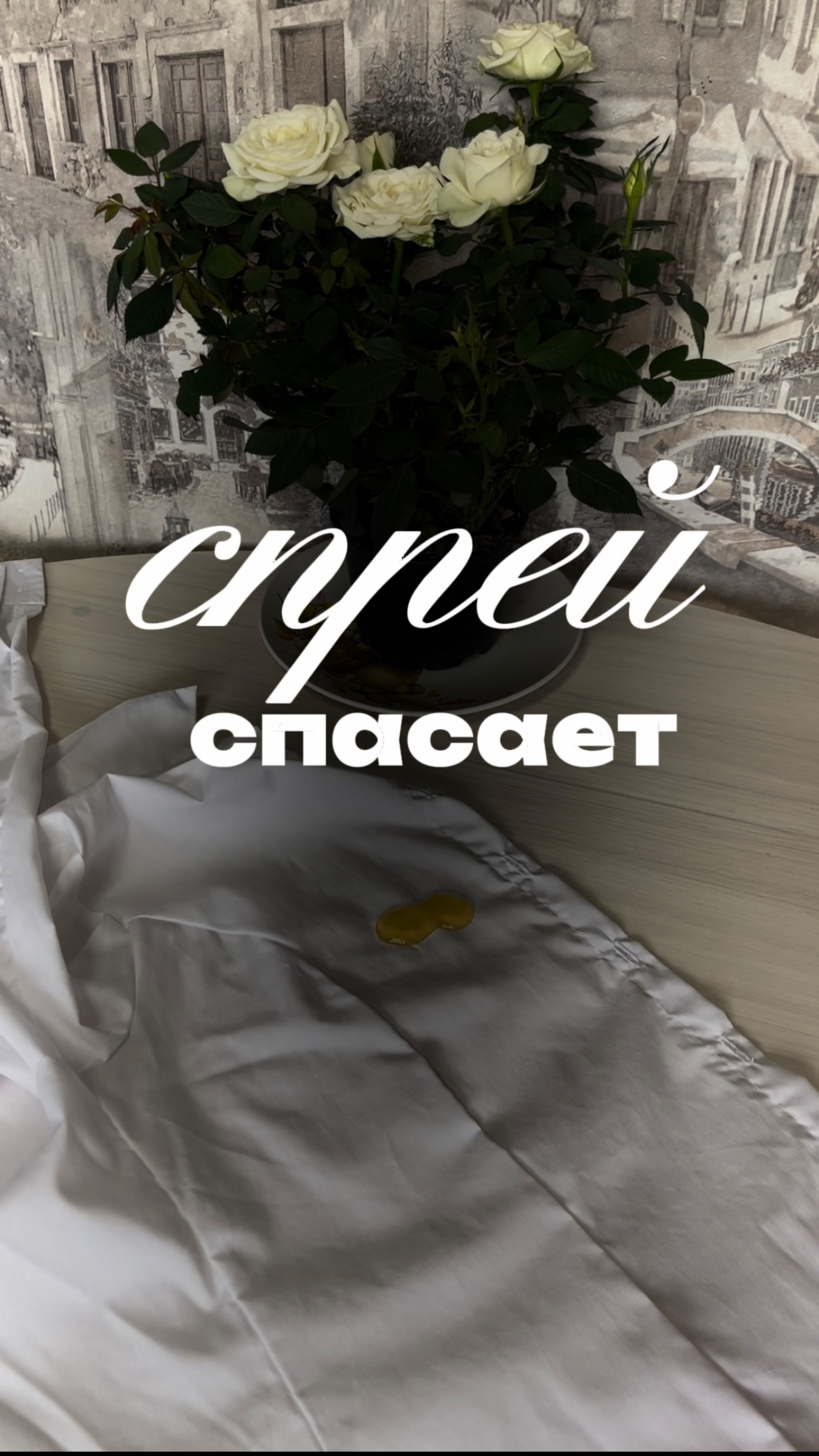 Copy_31713626-915C-4DA7-A399-029E9712E787