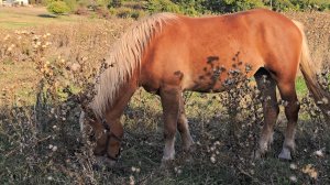 ✨️Релакс!💕✨️ Всем Добра!✨️