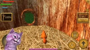 СИМУЛЯТОР БЕЛКИ #3 ВЛЮБИЛСЯ и ЗАВЕЛ СЕМЬЮ жену и БЕЛЬЧОНКА КОШКА ЛАНА играет