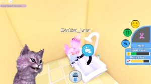 ДРОПЛЕТСЫ! МОЙ НОВЫЙ ПИТОМЕЦ И ДОМ В РОБЛОКС my droplets roblox