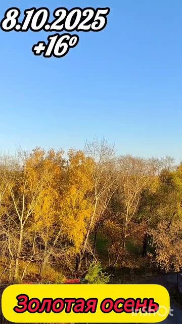 08-10-2025 Золотая осень смотреть онлайн