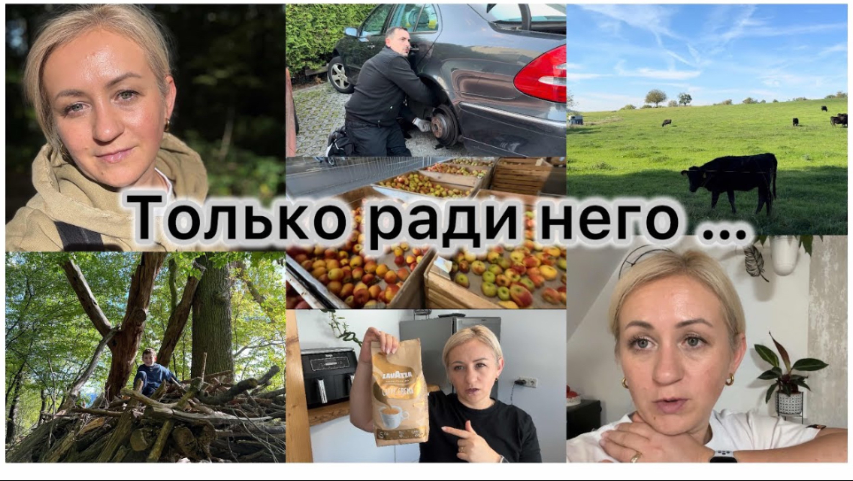 Акция в магазине Globus 🛒 Прогулка с Классом 📚 ремонт машины, своими руками 🔧 А вы так делаете смотреть онлайн