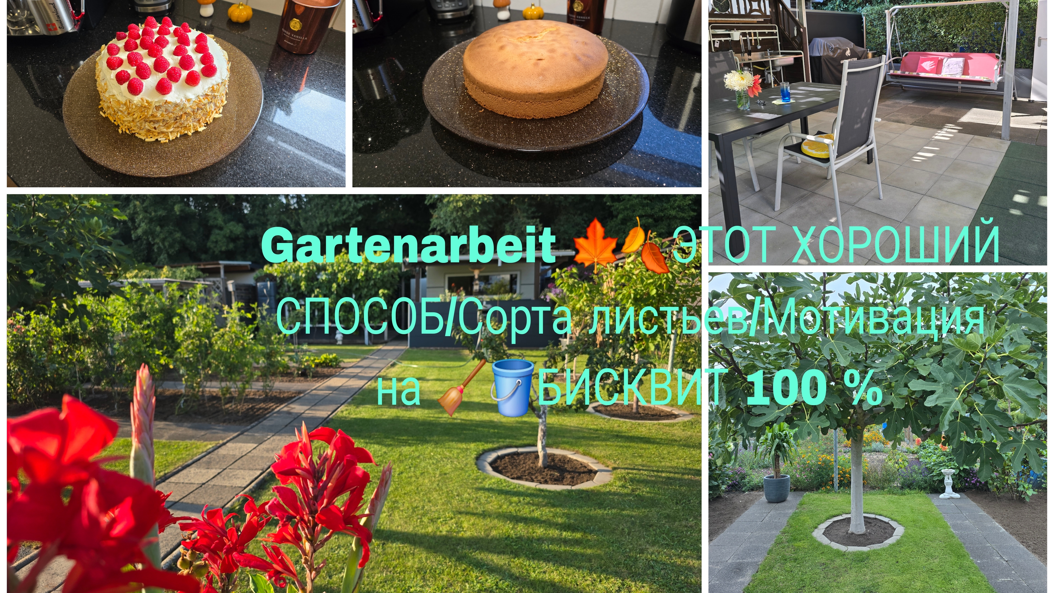 vlog 🇩🇪 ВОЗДУШНЫЙ БИСКВИТ Каторый всегда получается 🎂/Дачные Работа убираю,🍂🍁 стригу смотреть онлайн