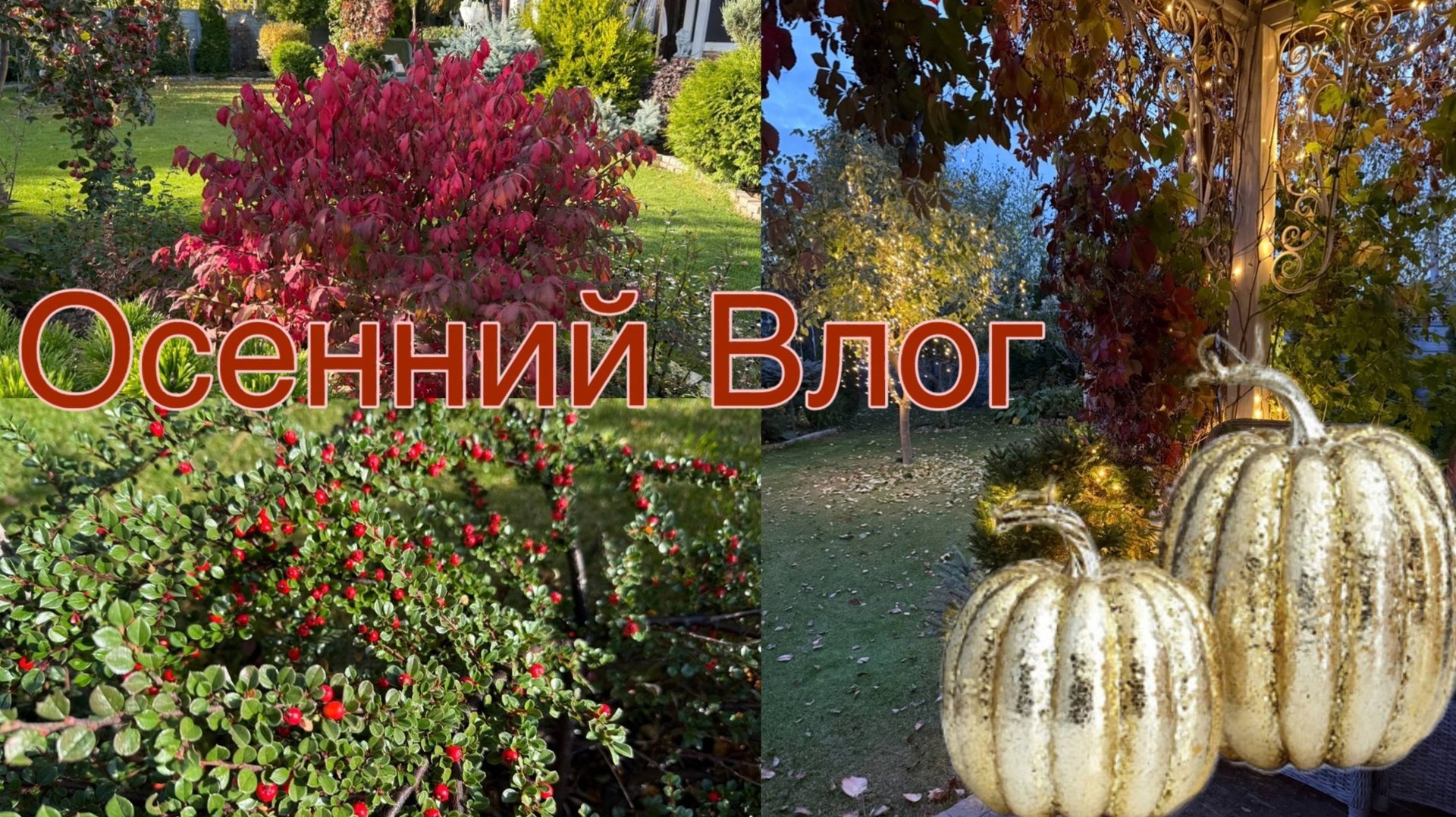 Осенний Влог.Украшаю сад к зиме ,закупка продуктов. смотреть онлайн