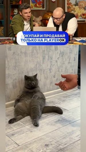 2dWMDVP84FY6qRtrZrTB+MQpbTwaQSjI