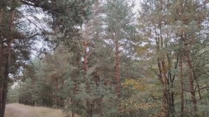 Уволили с работы в 45+