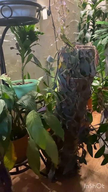 Создаем осеннее настроение #дом #дача #уютныйдом