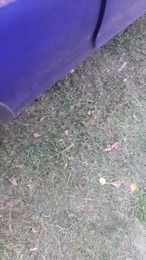 Марио теперь все секреты знает