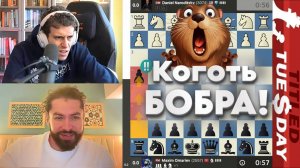 Коготь БОБРА!!! Даниэль Народицкий - Максим Омариев 06.05.2025