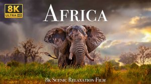 Africa 4K - Scenic Relaxation Film With Calming Music