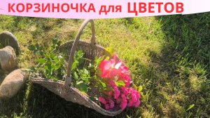 КОРЗИНОЧКА для ЦВЕТОВ / BOOSTY / ДЗЕН ПРЕМИУМ / ПЛЕТЕНИЕ ПРУТКОМ