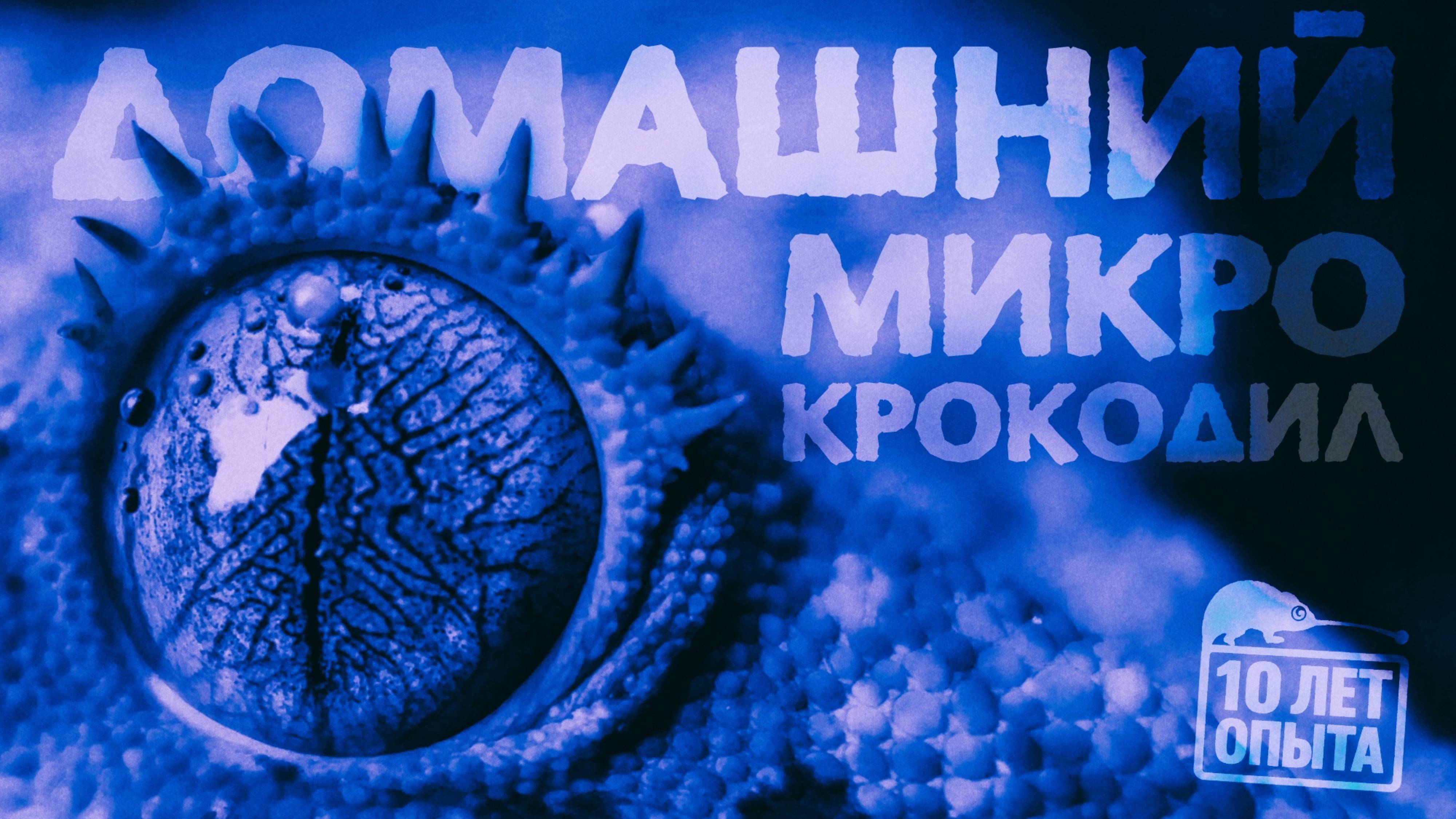 Содержание реснитчатых бананоедов. 10 лет опыта PANTERIC