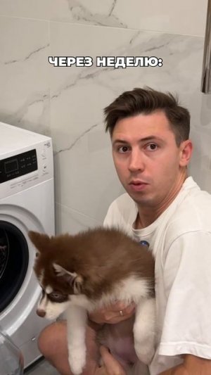 А ты за кого собаки, кошки или пиво? #морозовы #юмор #отношения