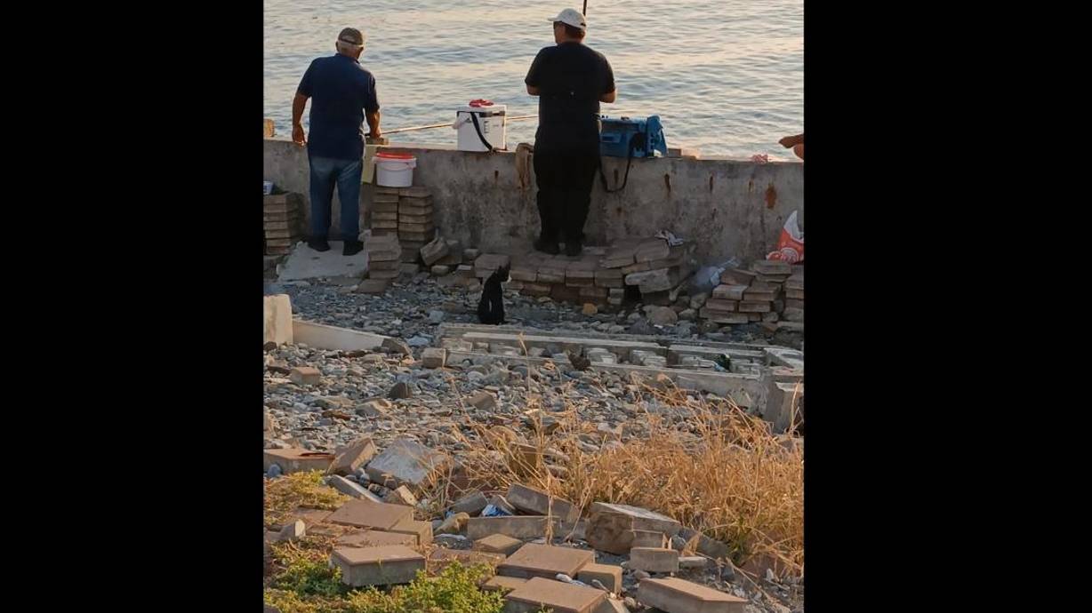 Кошак-рыбак