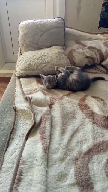 1000005881.mp4 смотреть онлайн