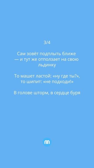 Сколько правильных ответов? Делись в комментарии👇🏻🦭