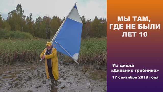 Мы там, где не были лет 10. Дневник грибника 17 сентября 2019 года. смотреть онлайн