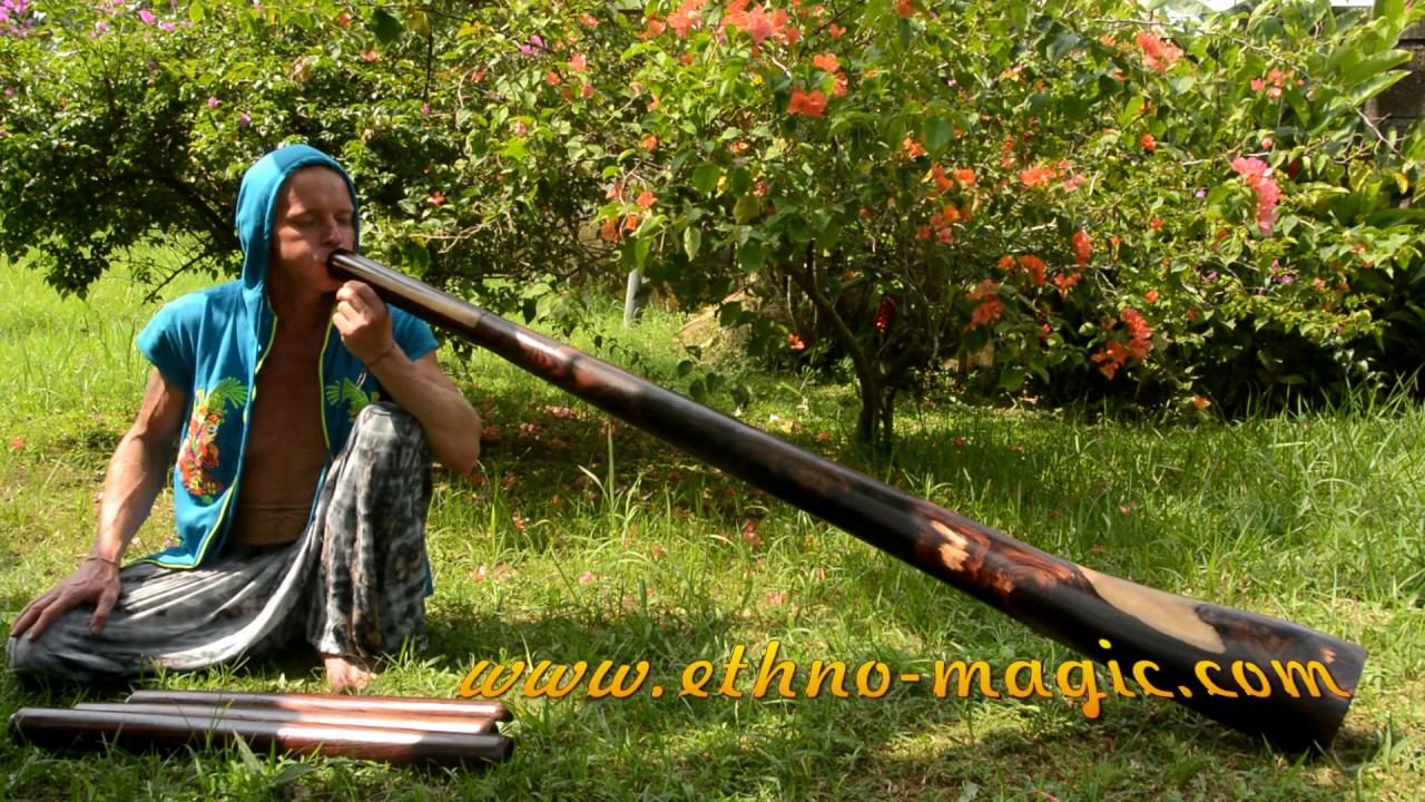 Didgeridoos For Sale