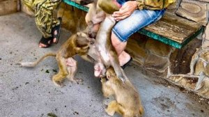 Тося добивается внимания и даже пытается СТАСКИВАТЬ Люсю с папы, чтобы она ОБРАТИЛА НА НЕЕ ВНИМАНИЕ