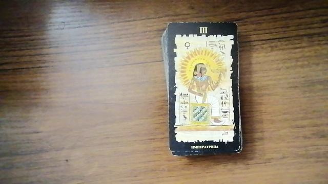 VID_20251008_091545 смотреть онлайн