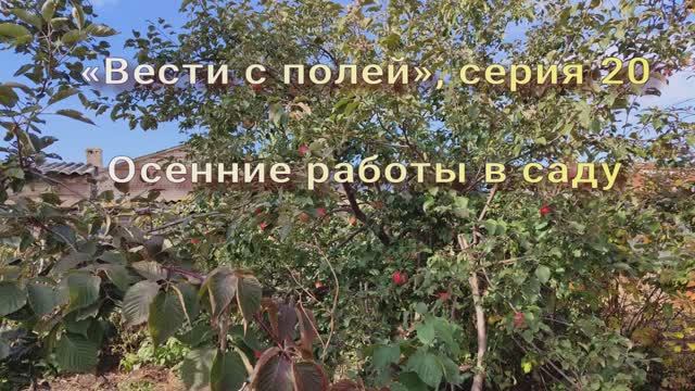 «Вести с полей», серия 20 \\ обрезка ежевики смотреть онлайн