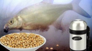 ЗАПАРЕННЫЙ ГОРОХ В ДЕЙСТВИИ! Подводная съемка