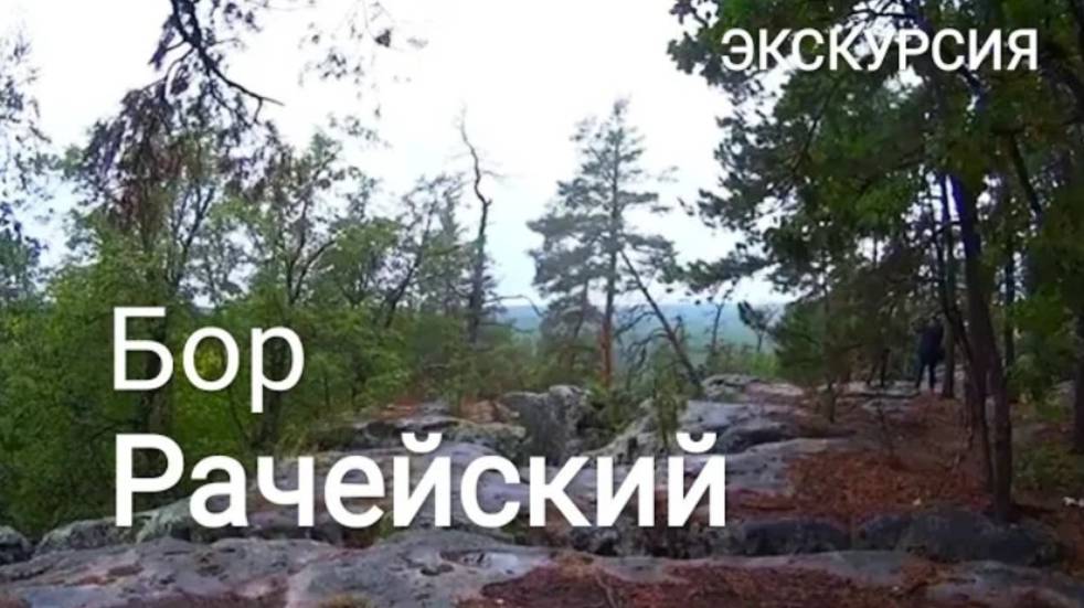 Экскурсия в Рачейский бор из Тольятти, 17 сентября 2022 г.
