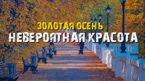 ОСЕНЬ В ЧЕБОКСАРАХ 2025. ГДЕ ПОГУЛЯТЬ?