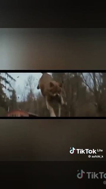 ну не знаю смотреть онлайн