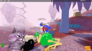 ГОНКИ ЗА ЗВАНИЕ СТРАУСА! МЫ С ЛЕО ПТИЧКИ В СИМУЛЯТОРЕ ПТИЦ В РОБЛОКС roblox BIRD