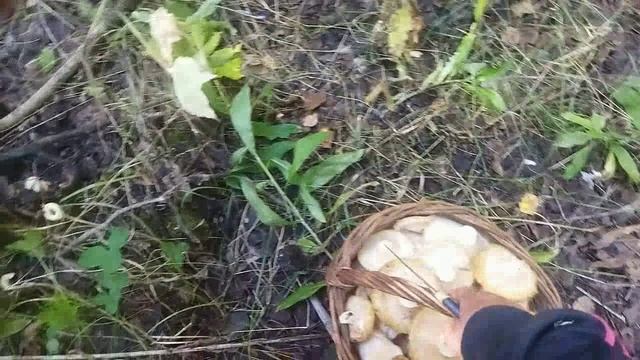 Немного лета смотреть онлайн