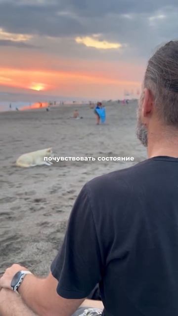 Дисциплина — это та сила, которая помогает управлять временем, энергией, возвращает ясность 👇🏻