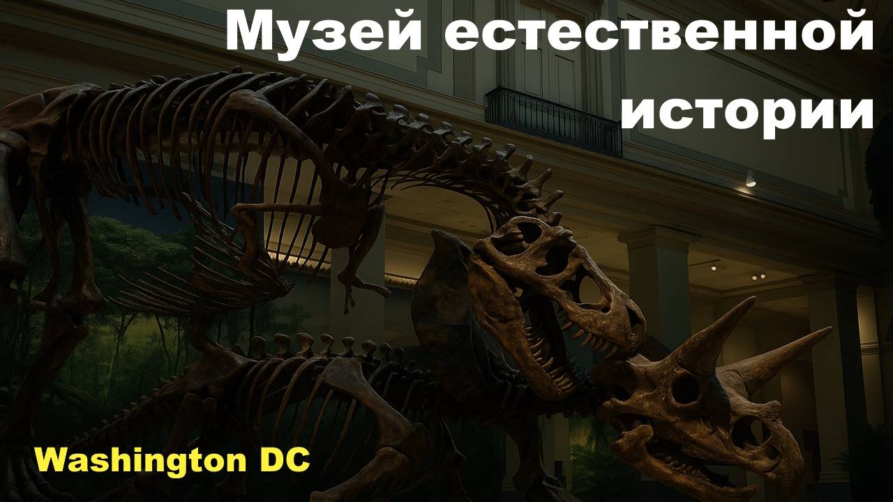 NaturalHistoryMuseum