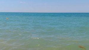 ЧУДЕСНОЕ УТРО НА МОРЕ 🌊