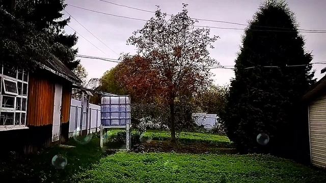 1000000592.mp4Ольга уралочка лайф. 🎂 купили торт для Абдугани..#обзор#уралочка#оляуралочка.#олгаура смотреть онлайн