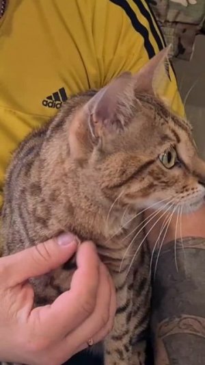 Жизнь в моментах. Слава Богу за всё