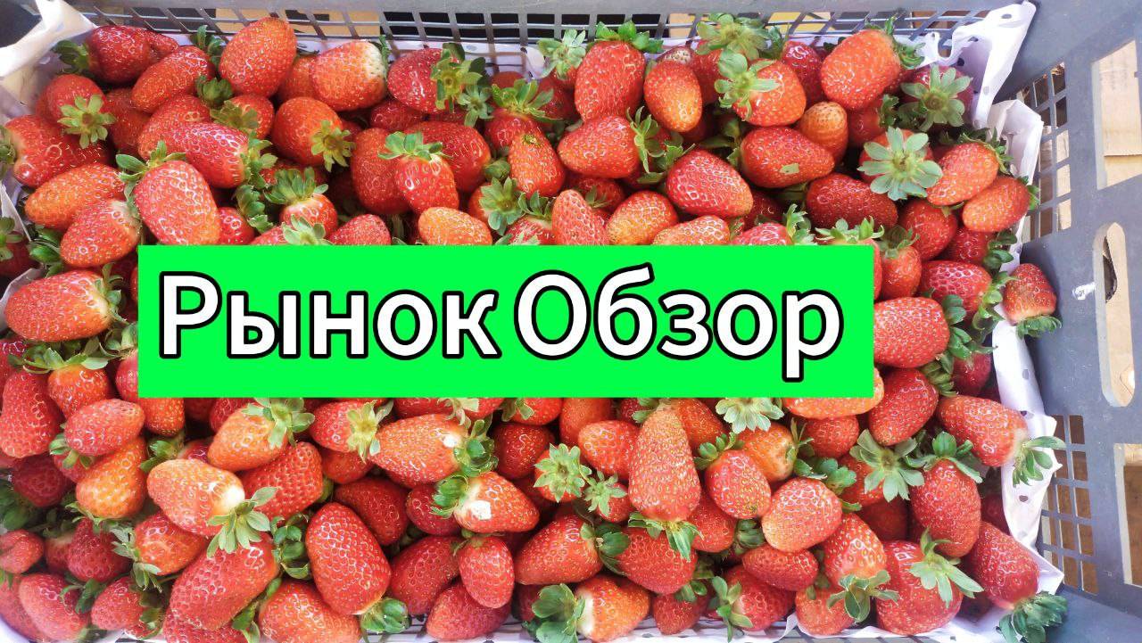 Продуктовый рынок , обзор.