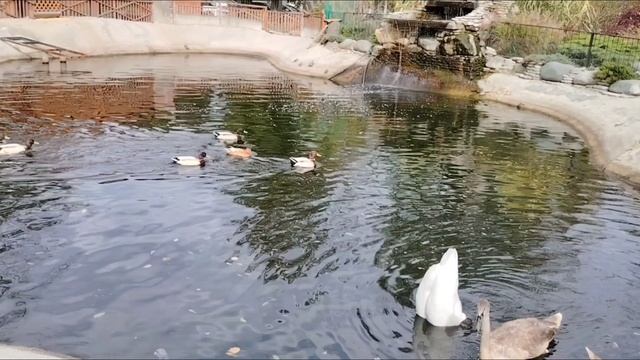 Ейск ! Такого видео у меня на канале не было ни когда, ' Ейская землянка '"- музей ! смотреть онлайн