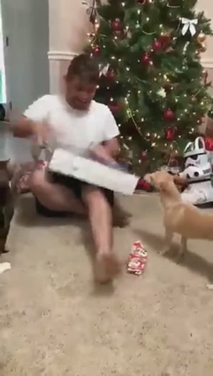 Мохнатые бандиты😼😼