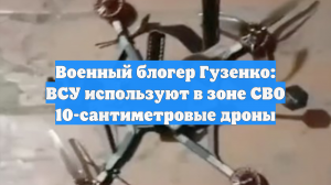 Военный блогер Гузенко: ВСУ используют в зоне СВО 10-сантиметровые дроны