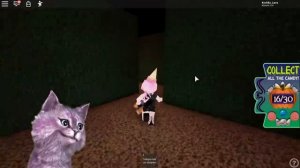 ШКОЛА ФЕЙ ПРИНЦЕСС И РУСАЛОК С ЛЕО В РОБЛОКС СОБИРАЕМ КОНФЕТКИ ПАУК НА ГОЛОВЕ