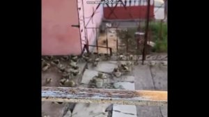 Аномалии природы и матрицы мира. Такое вообще возможно