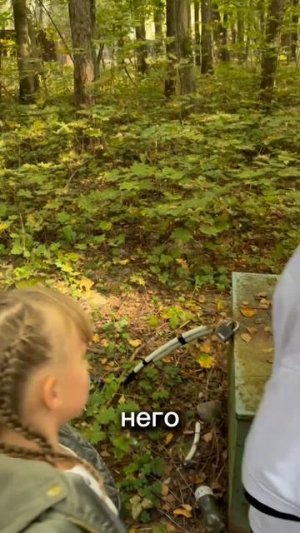 очень страшный лес 😱